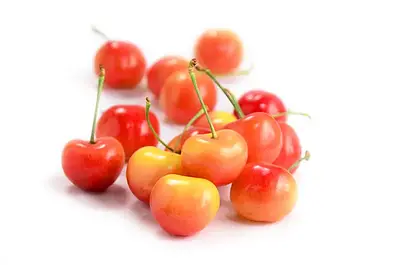 Auvil Farm Rainier & Dark Cherry Mix 2kg - Image 2