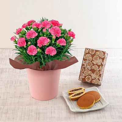 Mother’s Day Pink Carnation & Nagasakido Chestnut Dorayaki Set