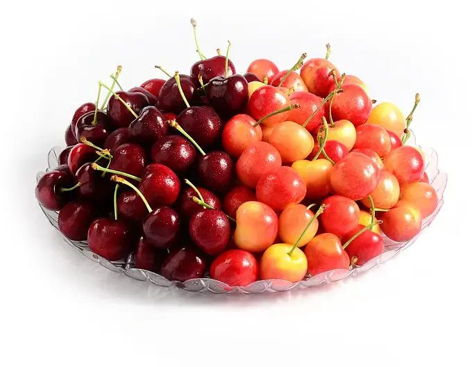 Premium American Rainier & Dark Cherry Set 4kg