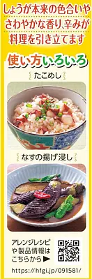 House Ginger Oroshi Shoga - Image 2