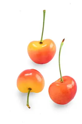 Auvil Farm Rainier Cherry 4kg - Image 2