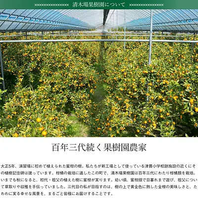 清木場果樹園 金柑ゆず茶 - Image 3