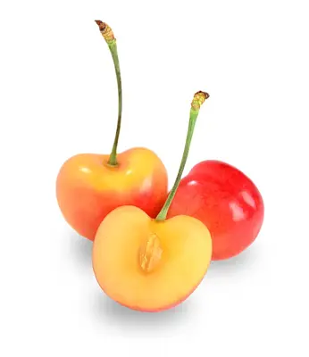Auvil Farm Rainier & Dark Cherry Mix 2kg - Image 4