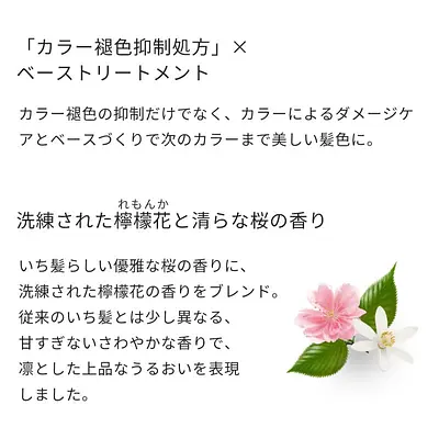 Kracie Ichikami Damage Repair & Cokor Care Conditioner Refill - Image 5
