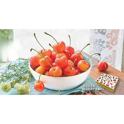 Premium American Rainier Cherry 2kg