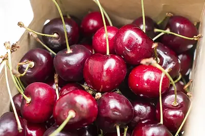 オービル農園 ダークチェリー 1kg | Nijiya Market