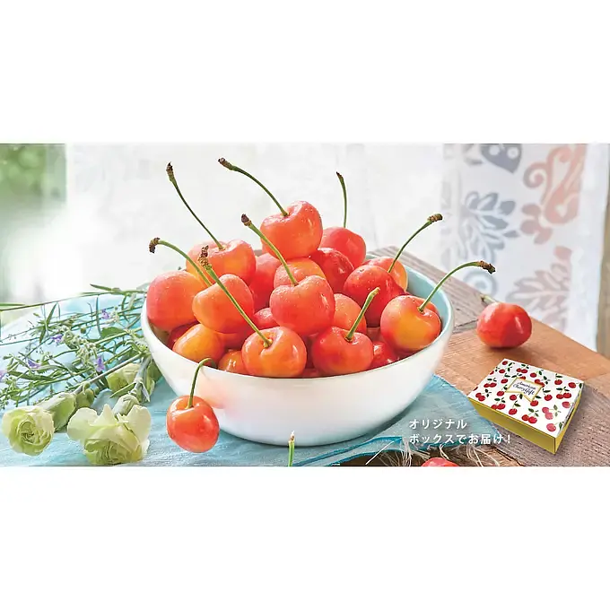 Premium American Rainier Cherry 4kg
