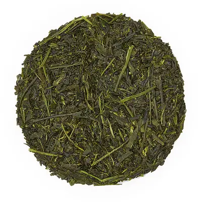 Sugimoto USA Tea Bag Sencha 20p - Image 4