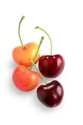 Premium American Rainier & Dark Cherry Set 2kg - Image 2